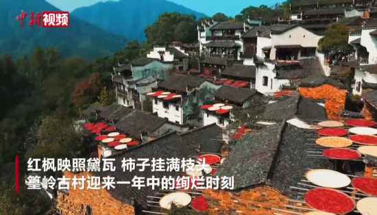 ������X�Ŵ���ɫ�M�@ �������Ȼ���{(di��o)ɫ�P(p��n)